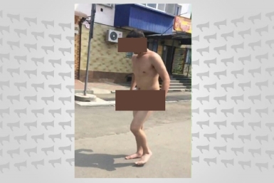 Голые закидоны: вслед за Кубанью &quotвирус&quot уличной обнаженки охватил ЕАО из соцсети