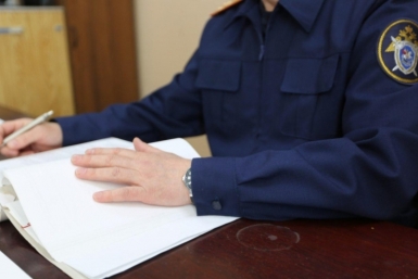 Малолетнюю живодерку, издевающуюся над щенком, поставили на учет - полиция Кубани ИА PrimaMedia