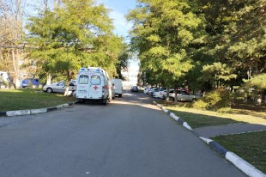 На Кубани питбули изуродовали лицо ребенку на частном водоеме Ума Саадуева