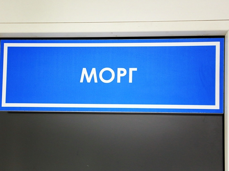 Тела в морге Тимашевска начали выдавать после визита СМИ – продолжение истории с трупом