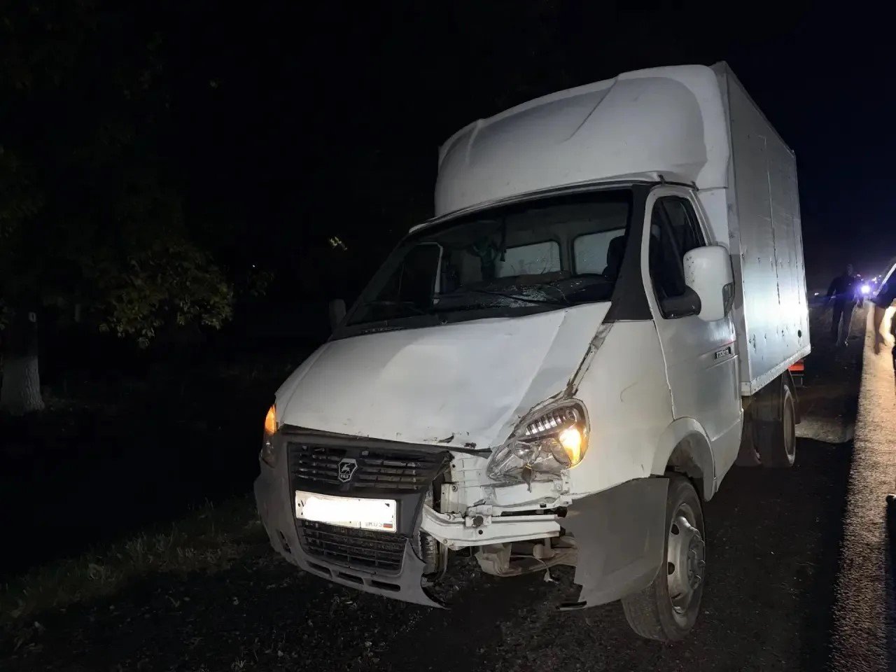 Пешеход погиб под колесами Газели в Успенском районе Пресс-служба ГУ МВД России по Краснодарскому краю